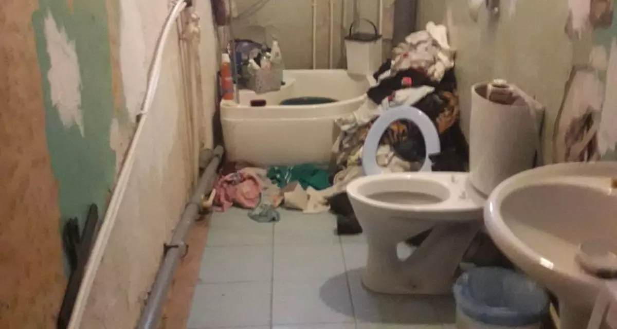 Немного свежего трэша в новостную ленту